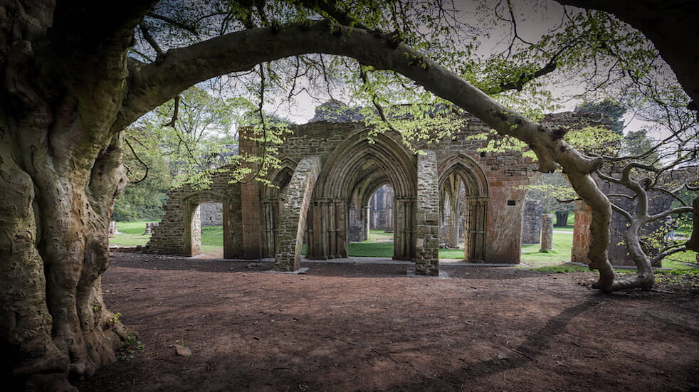 Free things to do in South Wales: discover Margam Park